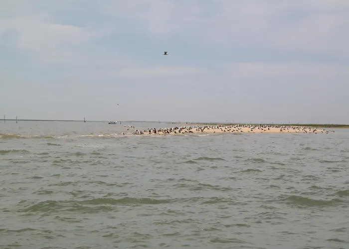 Apartament Jb-apartment Olhão