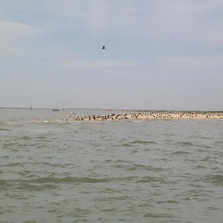 شقة Jb-apartment Olhão